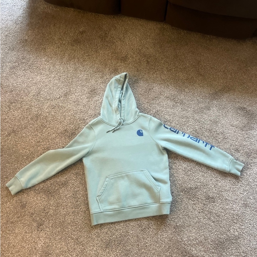 carhartt hoodie